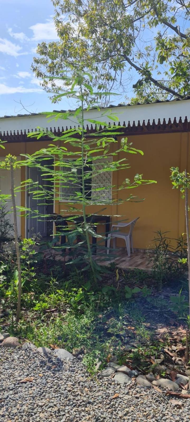 Apartamentos Sol Cahuita Værelse billede